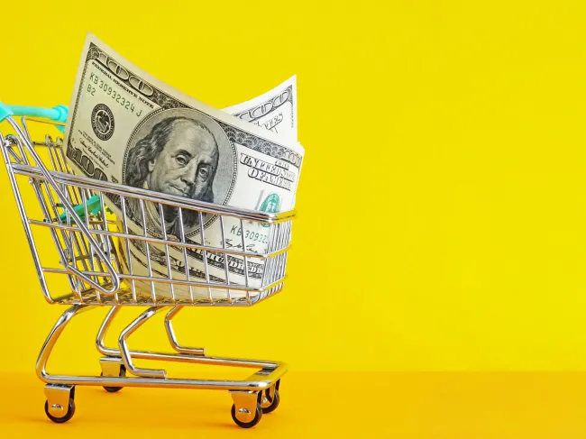 shopping cart with cash